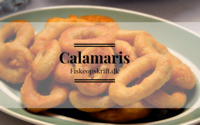 Calamaris