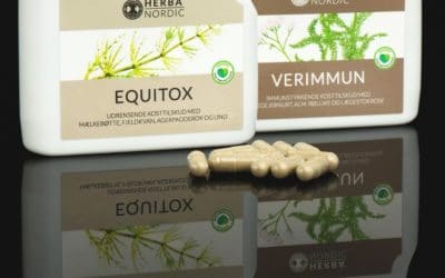 Begynd det nye år med en udrensning