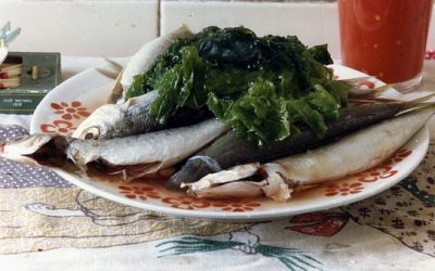 Spar penge på mad og få råd til de sjove ting i hverdagen