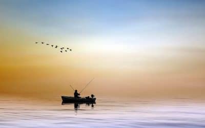 Få endnu friskere fisk ved at fange dem selv