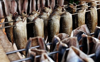 Omega 3: Fiskeolie vs. CBD-olie