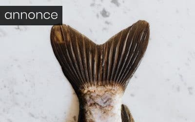 Pas på med lugten, når du har tilberedt din fisk