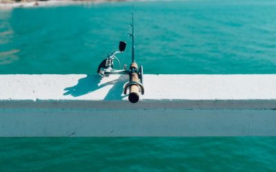 Fra fangst til pande: sådan får du den bedste smag ud af fisken